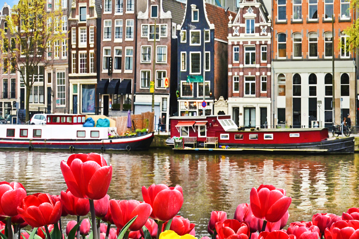 Amsterdam - pohled na nábřeží s barevnými domy a loděmi, s vodním kanálem a záhony tulipánů v popředí