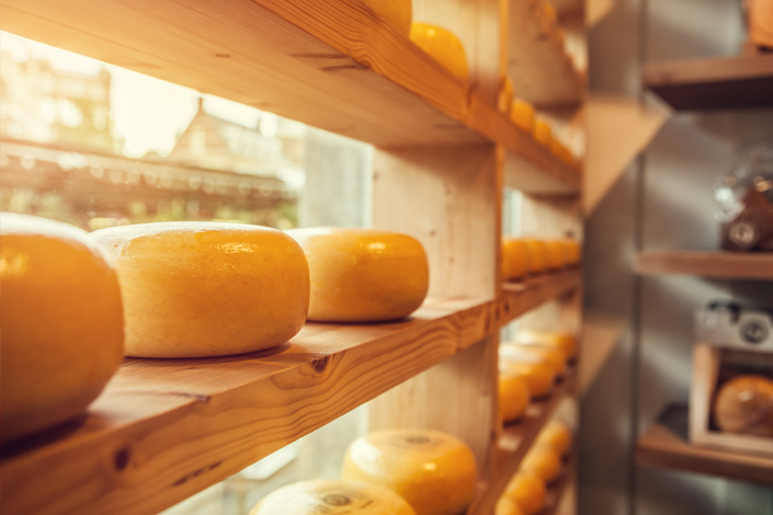 Bochníky holandského sýra vyskládané na dřevěných policích v tradičním holandském obchodě